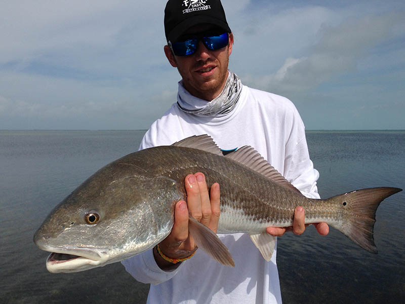 First Cast Outfitters, Islamarada Florida Redfish, fishing guides, captains, outfitters