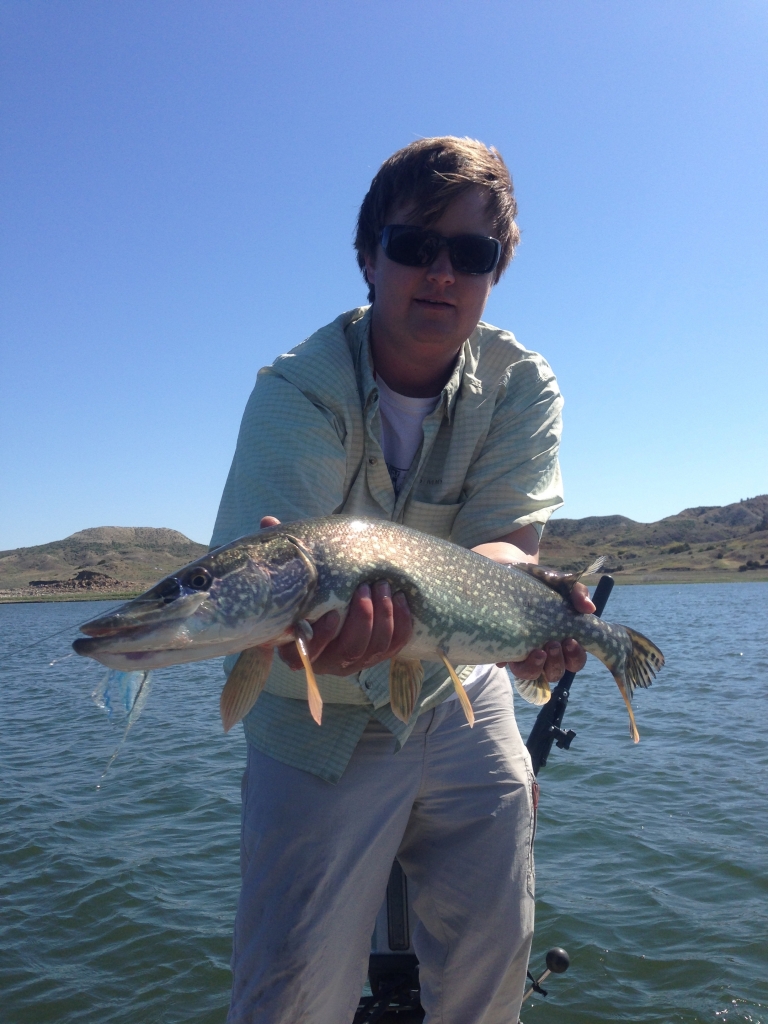 Flyfishing, Montana Pike Fishing, Fort Peck, Fishing for pike, Pike on the fly, Fishing Fort Peck