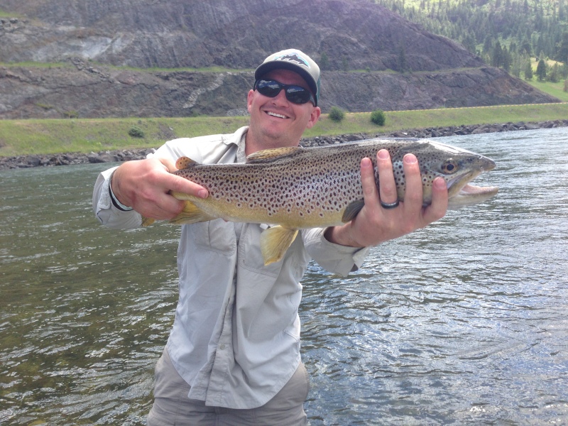 Brown Trout, Missouri River, Craig Montana, First Cast Outfitters, catch and release, fly fishing, fishing