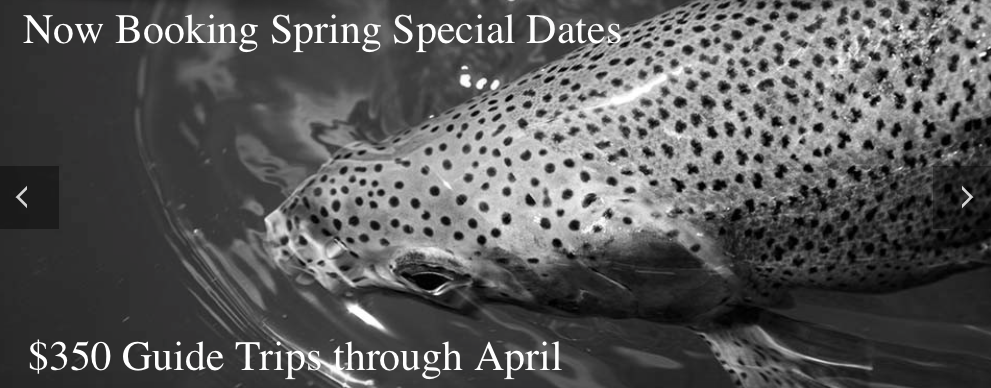 spring special, missouri river, guide trips