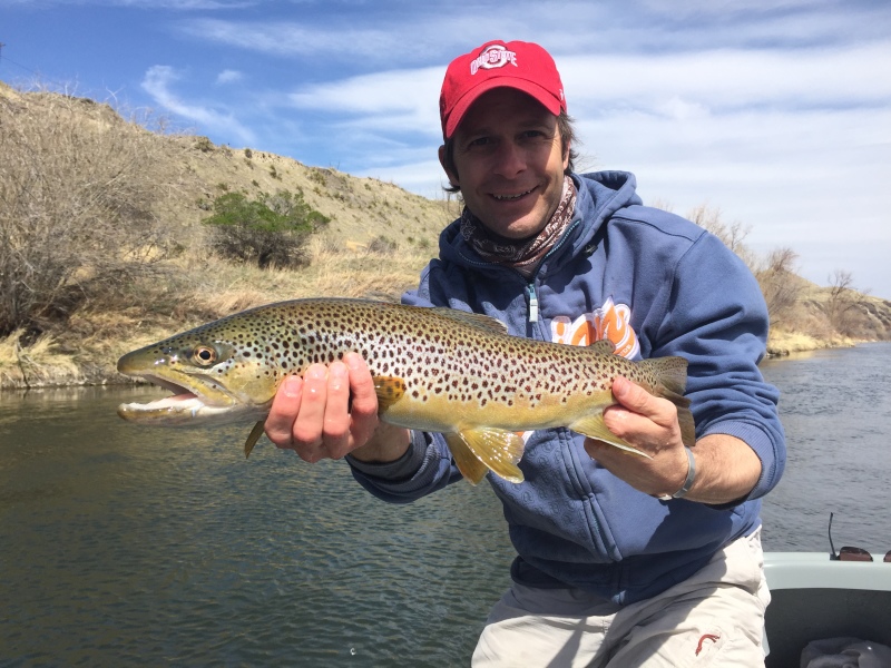 missouri river, brown trout, craig montana, firstcastoutfitters.com, firstcastoutfitters, first cast outfitters, Mo, missouri, dry fly