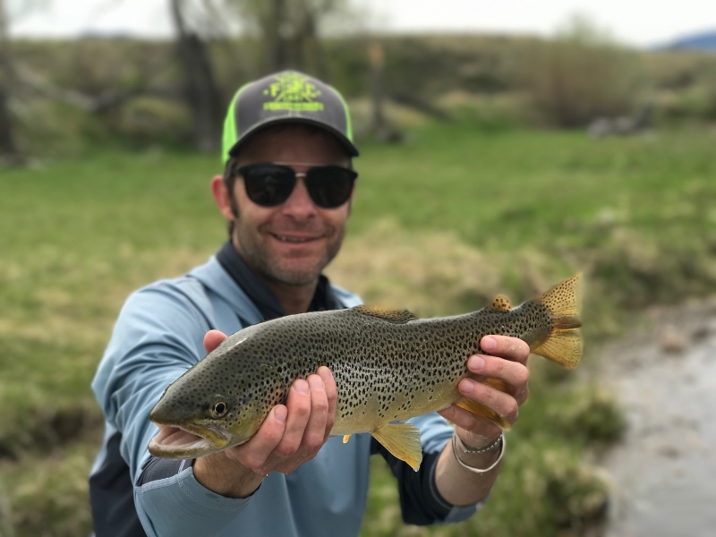 Missouri River Brown Trout
