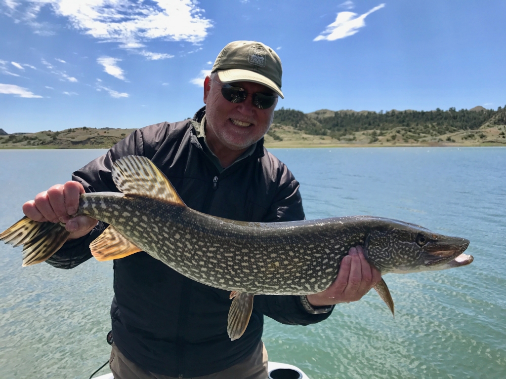 Montana Pike Fishing on the fly